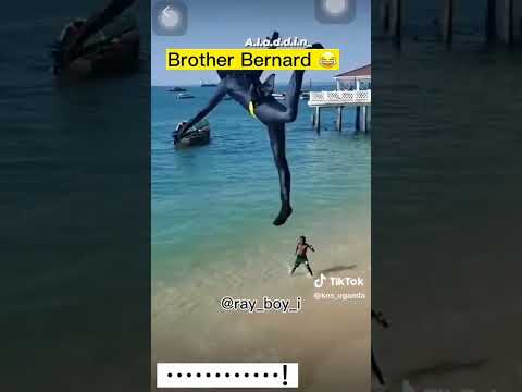 برادر برنارد