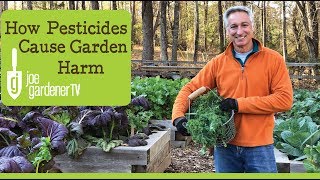 How Pesticides Cause Garden Harm - Alternative Solutions