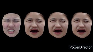 3D Facial Expression Driving (Front View)