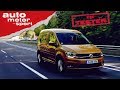 VW Caddy: Wer braucht da noch einen Touran? - Test/Review | auto motor und sport