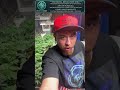 Community Spotlight: Chiefin_Session & The Stay Chiefin Gear | The Green Corner