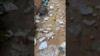 Best Feeling Home To A Cleaning House   