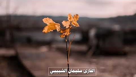 تلاوة من سورة غافر للقارئ سليمان الشبيبي