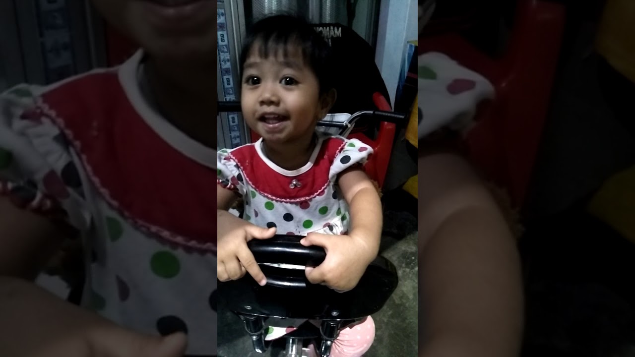  Suara hewan lucu  versi baby zie YouTube