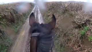 Woah Shamrock Unedited.