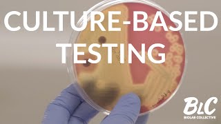 Culture-based testing: isolate and identify pathogens