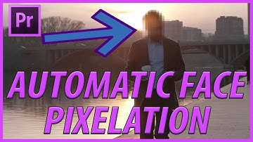 How to Pixelate a Face in Adobe Premiere Pro CC (2020)