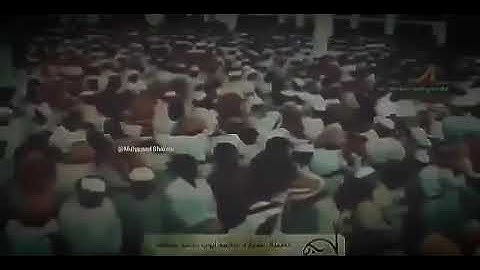 تلاوة خاشعة للشيخ #محمد_أيوب رحمه الله