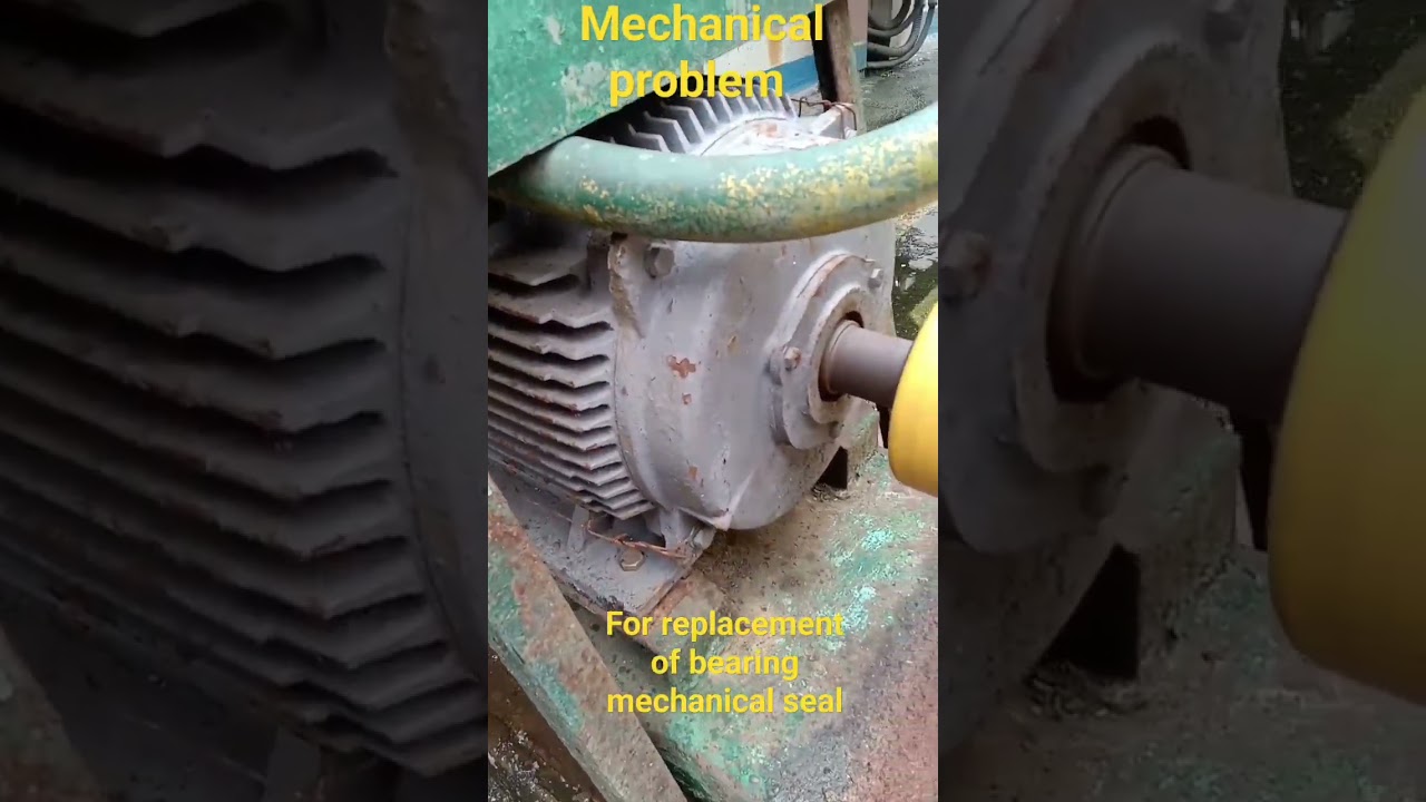 Mechanical problem need replace bearing and mechanical seal 