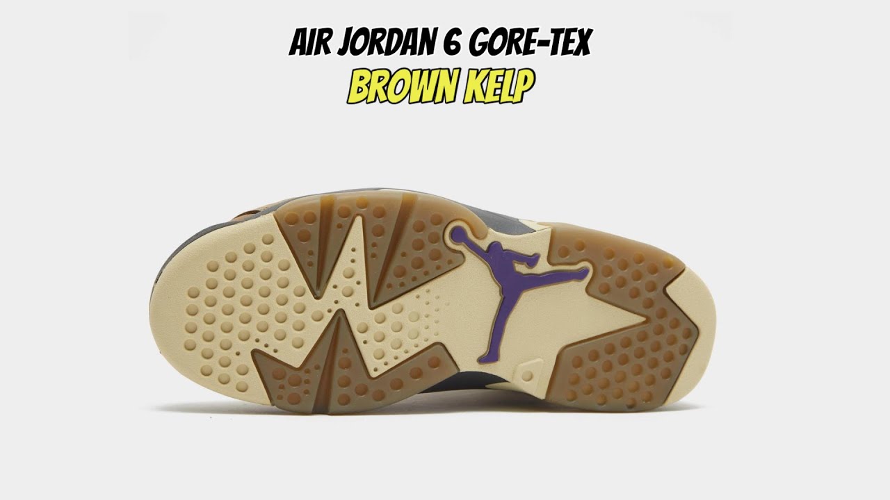 Air Jordan 6 GORE-TEX Brown Kelp