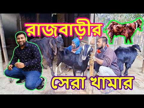 🔥 রাজবাড়ীর সেরা পাঠার খামার 🐐 | মাত্র ২টা থেকে শতাধিক! সফলতার গল্প 🔥 #Travel Two Eye।। Goat farm