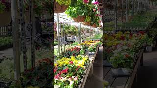 Always try to do good things. #reels #honest #good #viralvideo