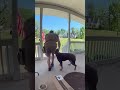 These Silly Canines Are Definitely Living In A Simulation #funnydogs #canine #humor #fun