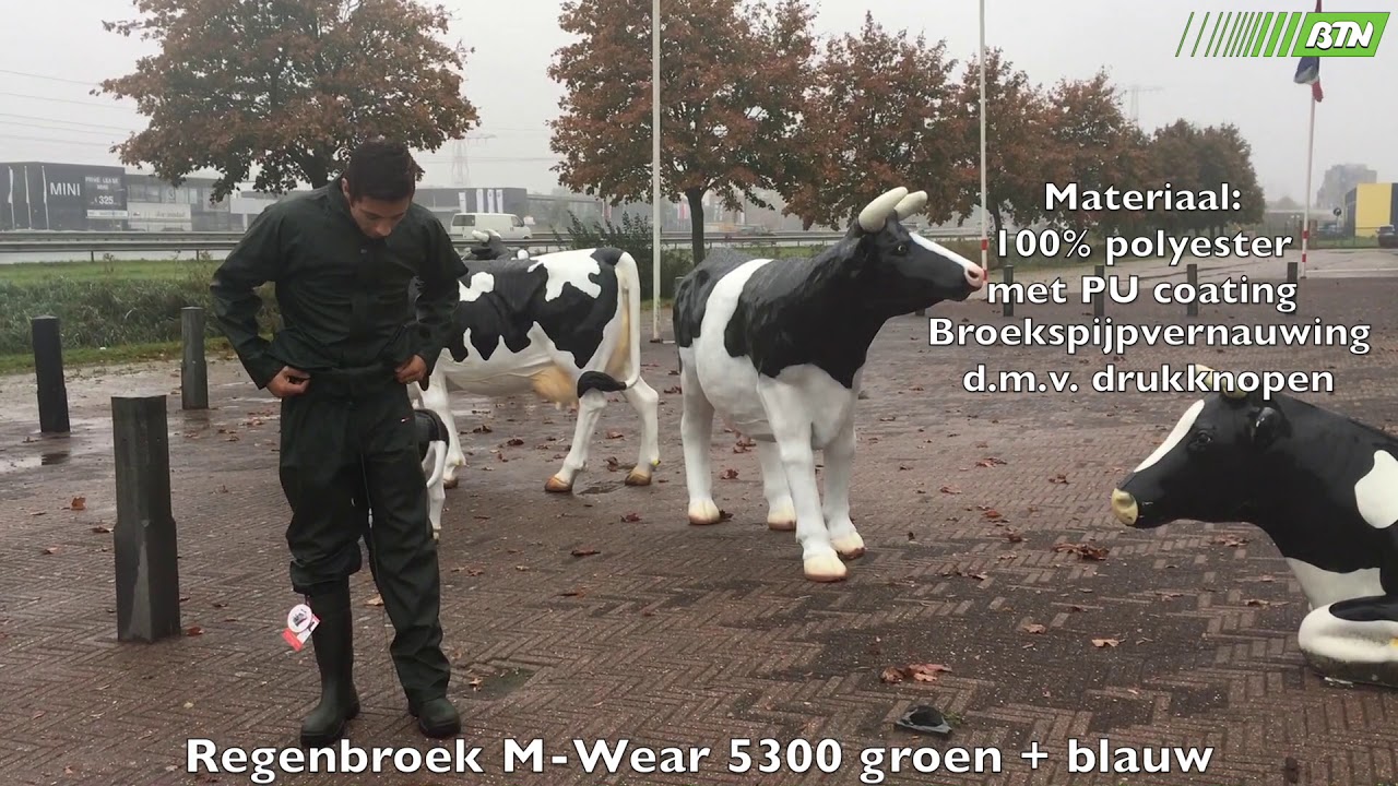 Regenbroek M-Wear 5300 groen + blauw - BTN de Haas