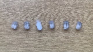 Pick a cute feather reading 
