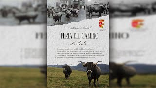 Feria del Camino | MOLLEDO | 8 de Septiembre de 2025