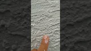 Lake County Florida Painter Select Choice Group
