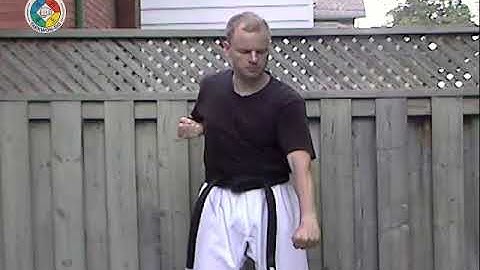 Taekwondo: Hapkido: Foundations: low block, front view