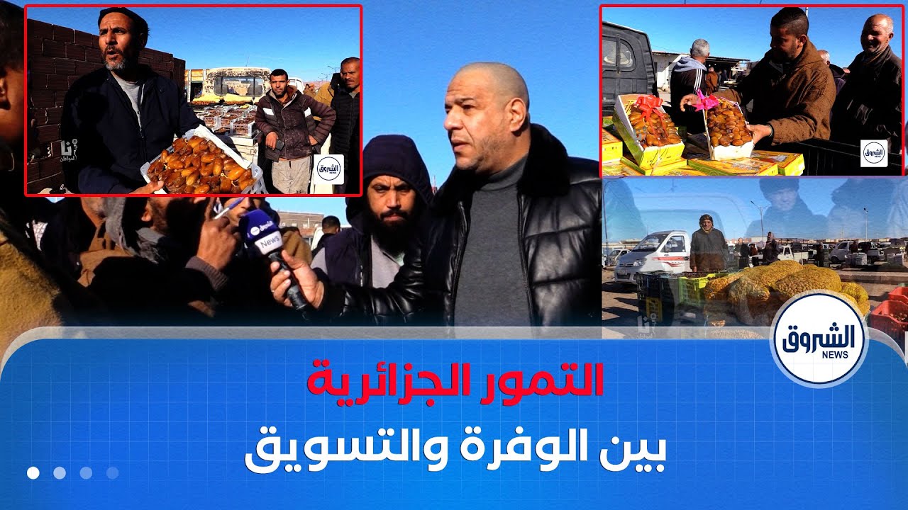 #أنا_مواطن| التمور الجزائرية.. الفلاحون يؤكدون 