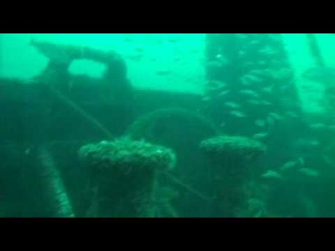 Born Again Tug 10.10.10
