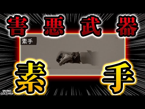【CoD:BOCW】BOCWにスナイパー専用モードが来たので「素手」のみで暴れてみたｗ【超害悪】