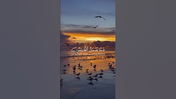 سورة إبراهيم آيه {٤٢} #المصحف #quran #لايك #islamicfestival #islamicholiday #اكسبلور #دويتو #حالات_و