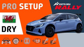 Hyundai i20 Rally2 | Wales - PRO SETUP [AC RALLY]