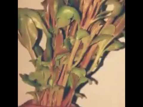 طب كنت فين لما زمان احتجت لك
