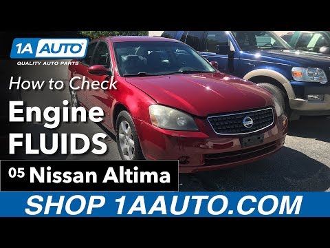 How to Check Engine Fluids 02-06 Nissan Altima