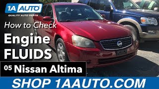 How to Check Engine Fluids 02-06 Nissan Altima