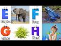 ABC Song | ABC phonics song | Letters song for baby | Phonics song for toddlers #phonics_song