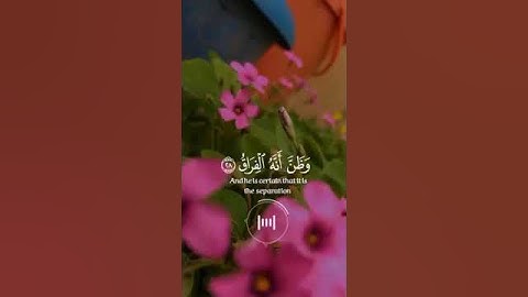 حالات واتس اب Qur'an  //الشيخ إدريس أبكر 💕//تلاوة خاشعة من سورة القيامة ✨