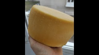 Голландский сыр в домашних условиях Пошаговый рецепт