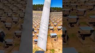 Peternakan Ayam Yang Unik Di Negara China  Anda Bisa Menirunya shorts