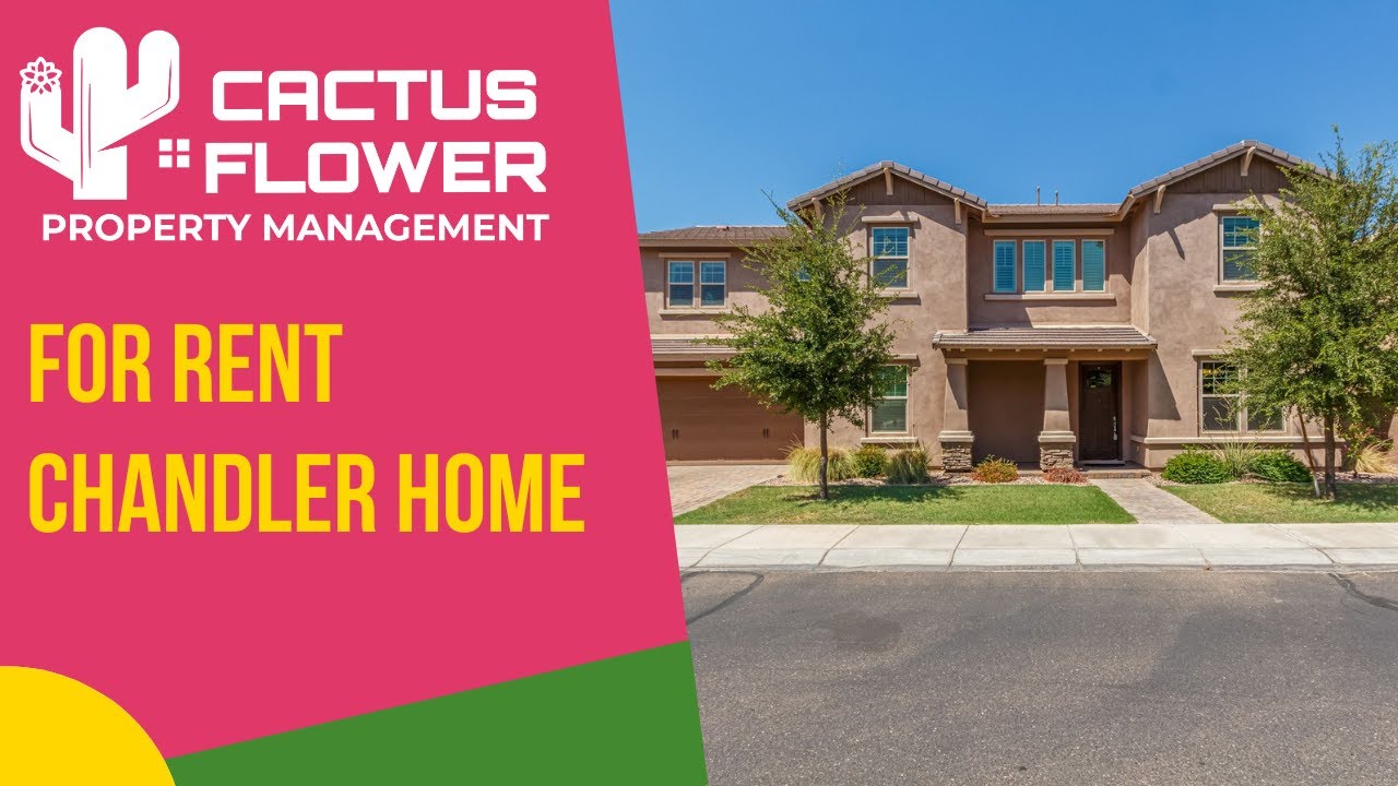 Chandler 5BR/4.5BA Home For Rent Arizona Property Management Cactus Flower Property