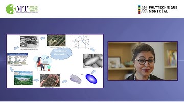 3MT: Elham Kheradmand Nezhad