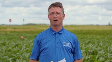 SDSU Southeast Research Farm: Corn Nitrogen Rate and Application Timing