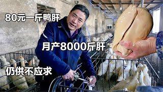 安徽大哥养鸭子，30天可以出一批，10斤鸭子2斤肝，一天最多喂4顿
