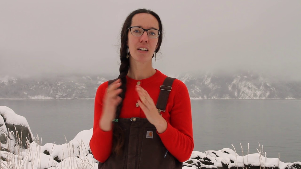 Mud Bay Lumber Co elevator pitch Nov2020 YouTube