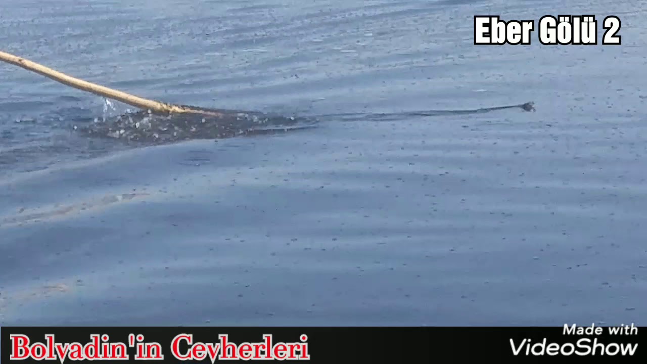 Eber Gölü