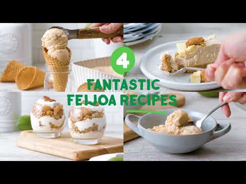 Video: Feijoa Recipes