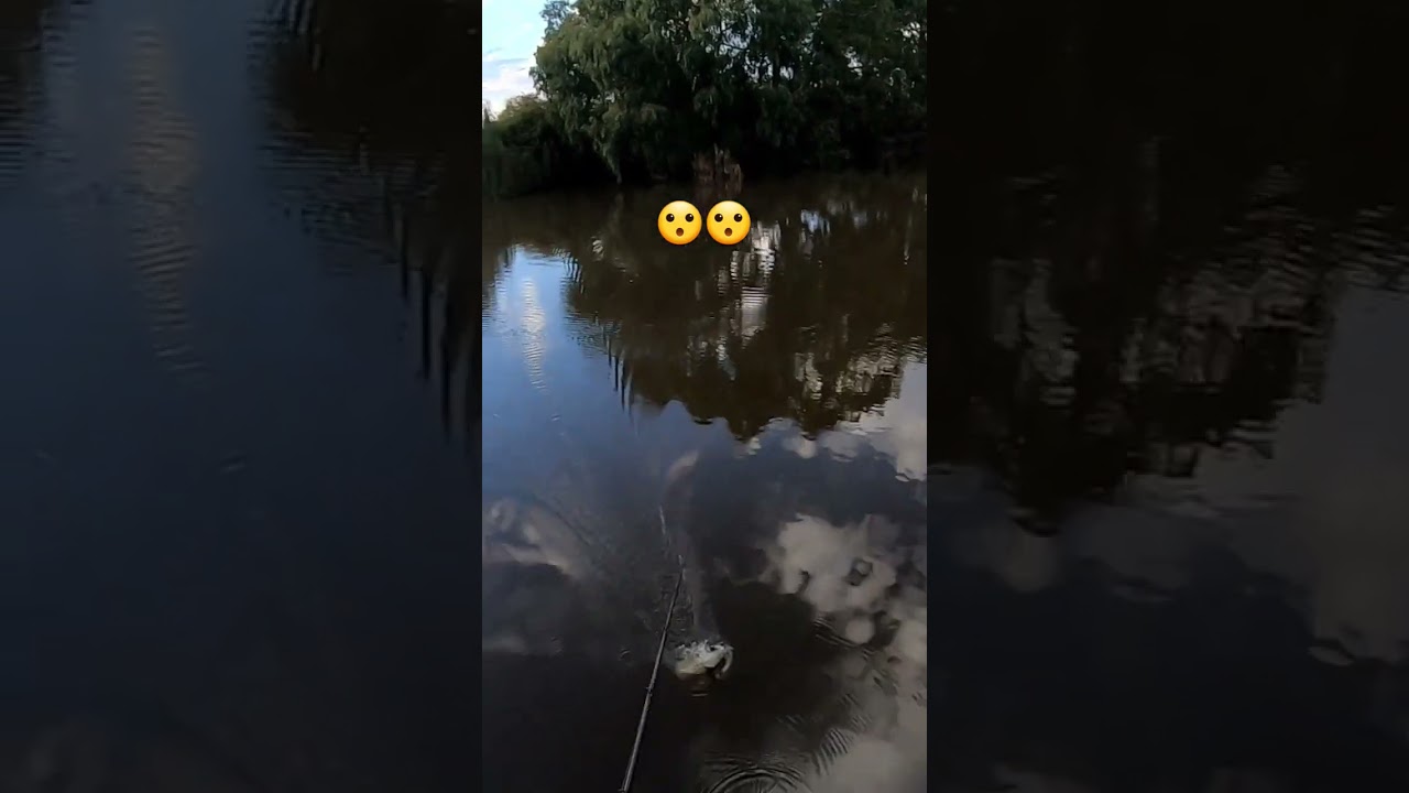 BOOM GOES THE DYNAMITE!! 