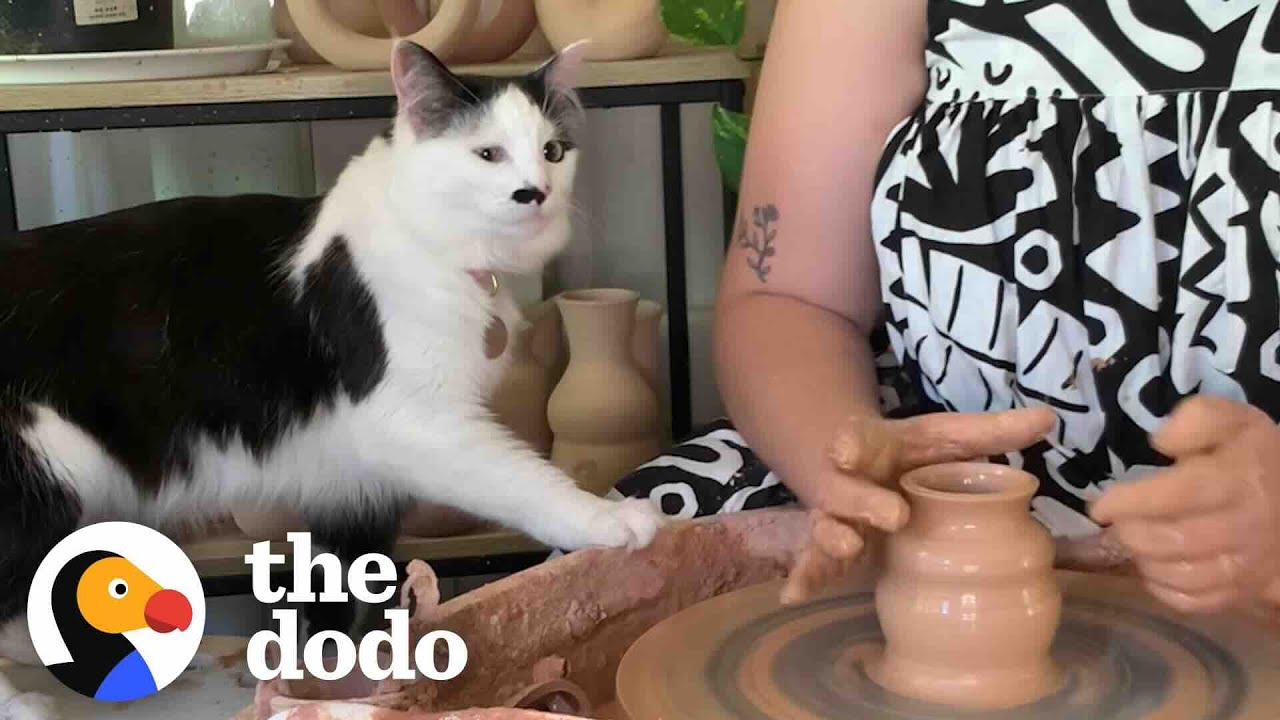猫の手も借りたい」が現実に！飼い主さんの陶芸をお手伝いする”芸術家
