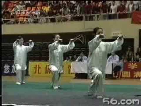 THÁI CỰC QUYỀN - 太极拳 - YouTube