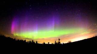 Distant System - Pupillary Response