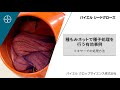 【水稲種子処理】種もみネットに入れたまま種子処理を行う有効事例（ミキサーで処理を行う場合）