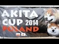 Akita Cup Poland 2014