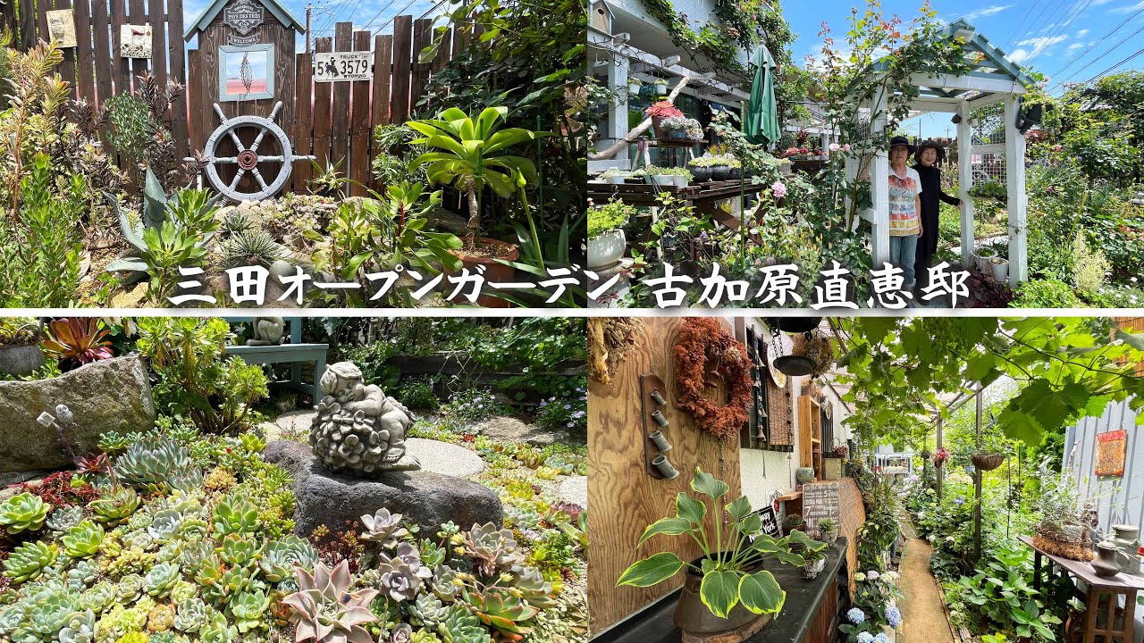 【三田オープンガーデン】とにかく自由で思いが詰まった古加原邸の庭／多肉植物の花壇！通路がしまなみ海道！ドライガーデンに山野草ゾーン！【古加原直恵】