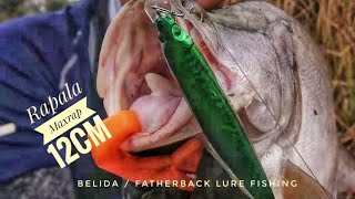 Rapala Max Rap 12cm - twich jerk for Featherback / Belida Fish