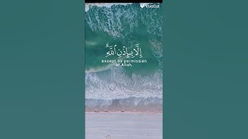 ما اصاب من مصيبة/ قرآن كريم
